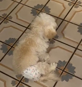 Meet your Posher, Marcos